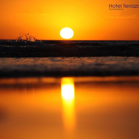 Hotel Terraza Del Mar Punta Ballena Eksteriør billede